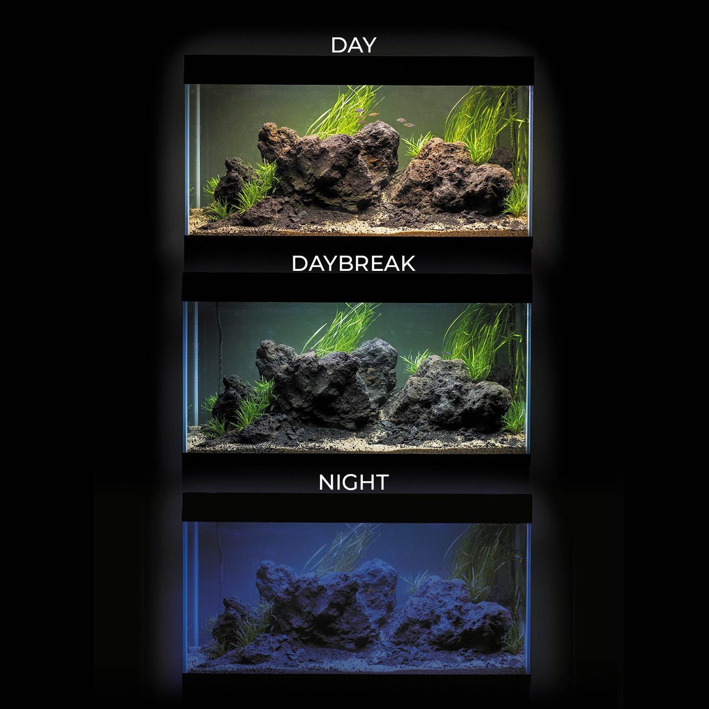 AQUAEL - Acuario Optiset 240 litros - Blanco