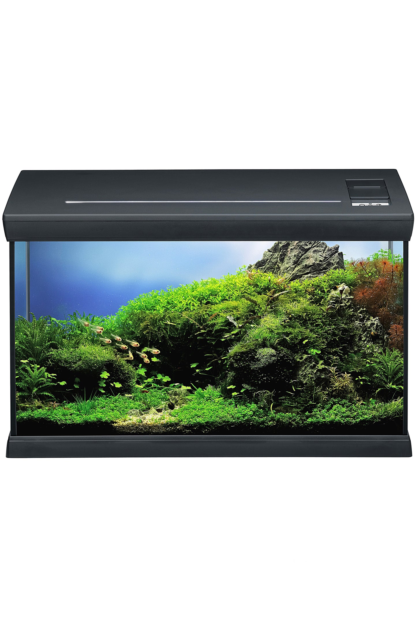 EHEIM - Kit Aquaclass 66 (Antracita)