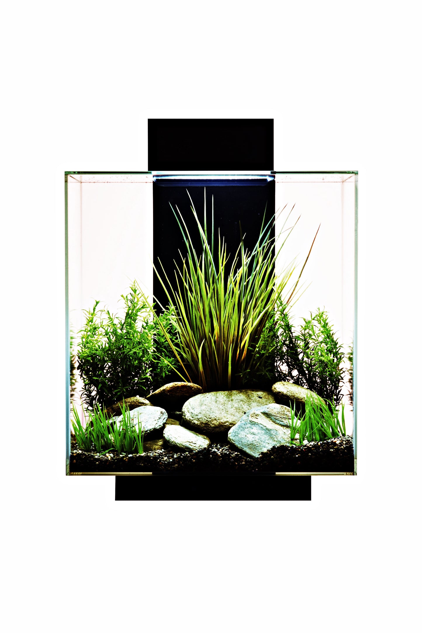 Fluval EDGE LED 2.0 Nano Acuario Negro de 46 litros