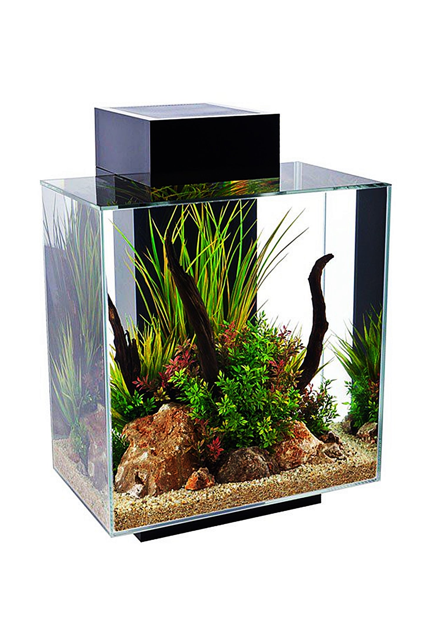 Fluval EDGE LED 2.0 Nano Acuario Negro de 46 litros