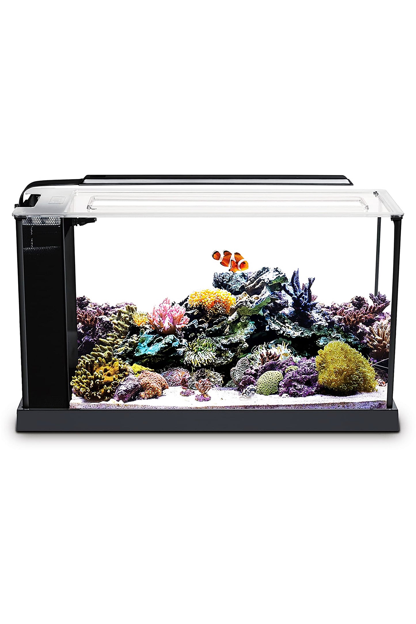 Acuario Marino FLUVAL EVO de 19 litros en Negro