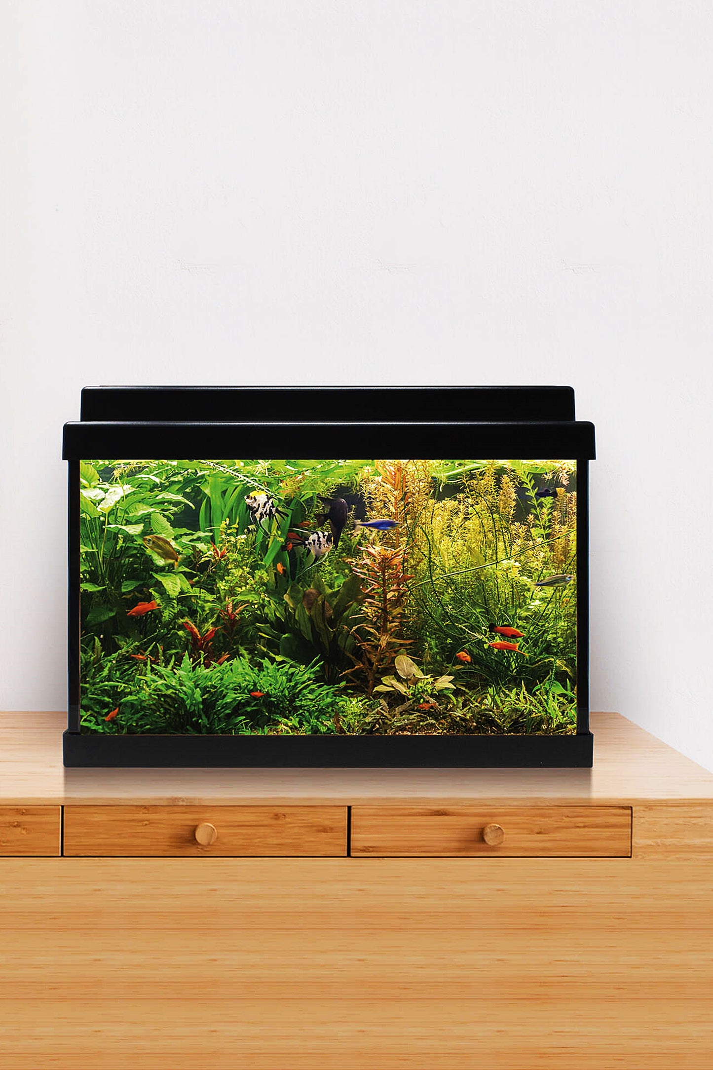 Acuario Kit AquaLED 20 con Filtro Interior (20 litros) Negro