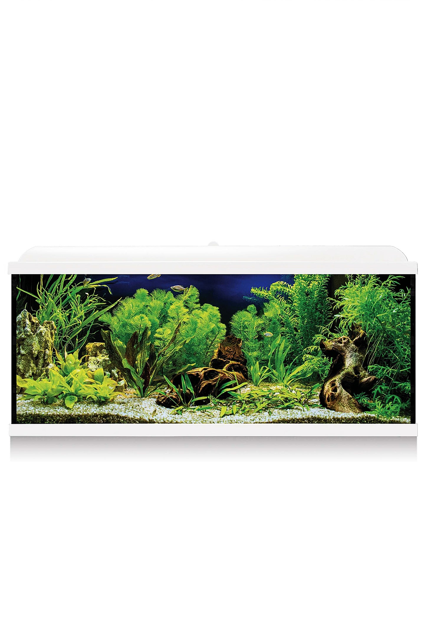 AquaLED PRO 100 - Acuario de 100 litros en Blanco