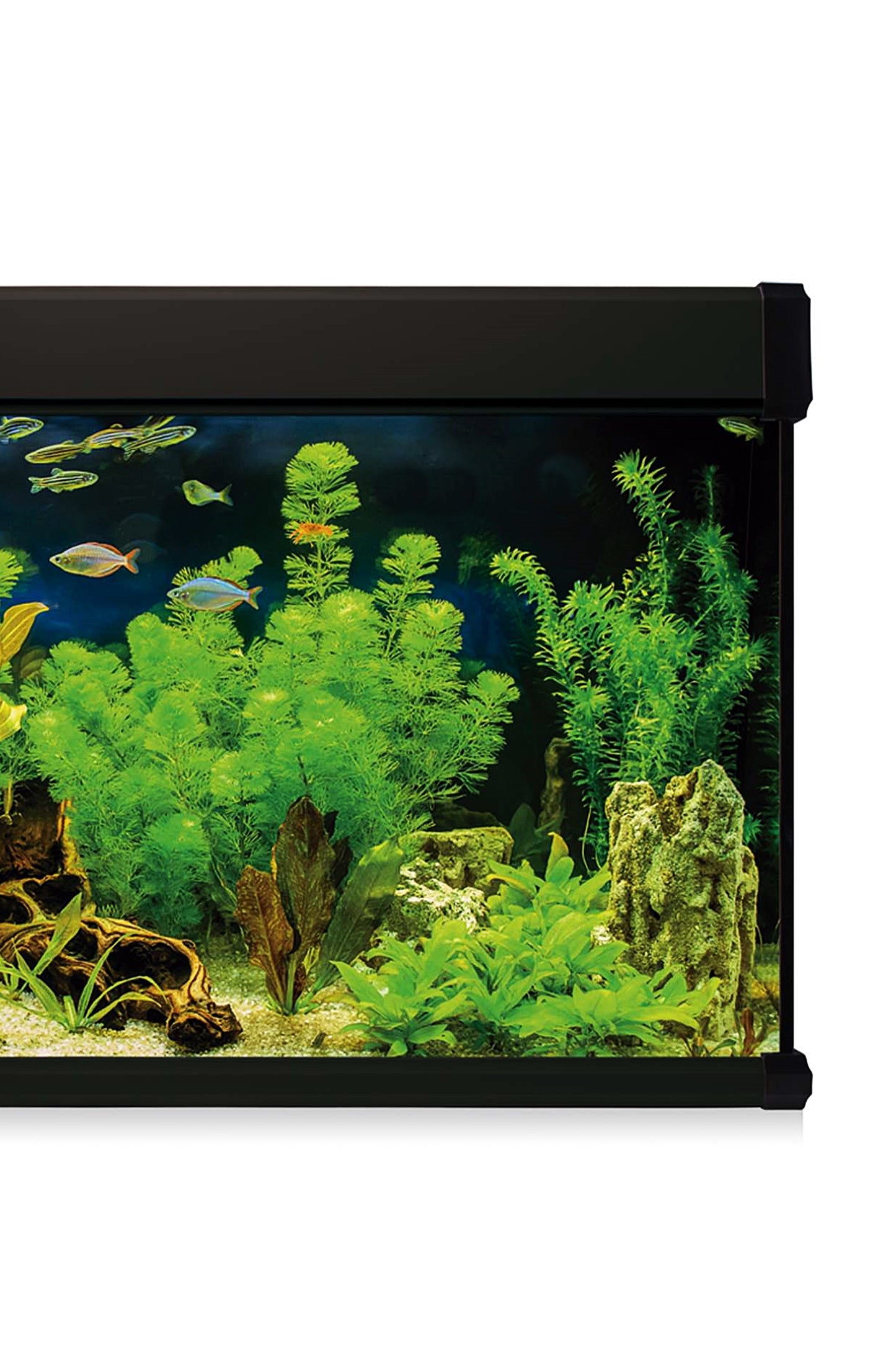 Kit AquaLUX PRO 100 - Acuario de 100 litros Negro