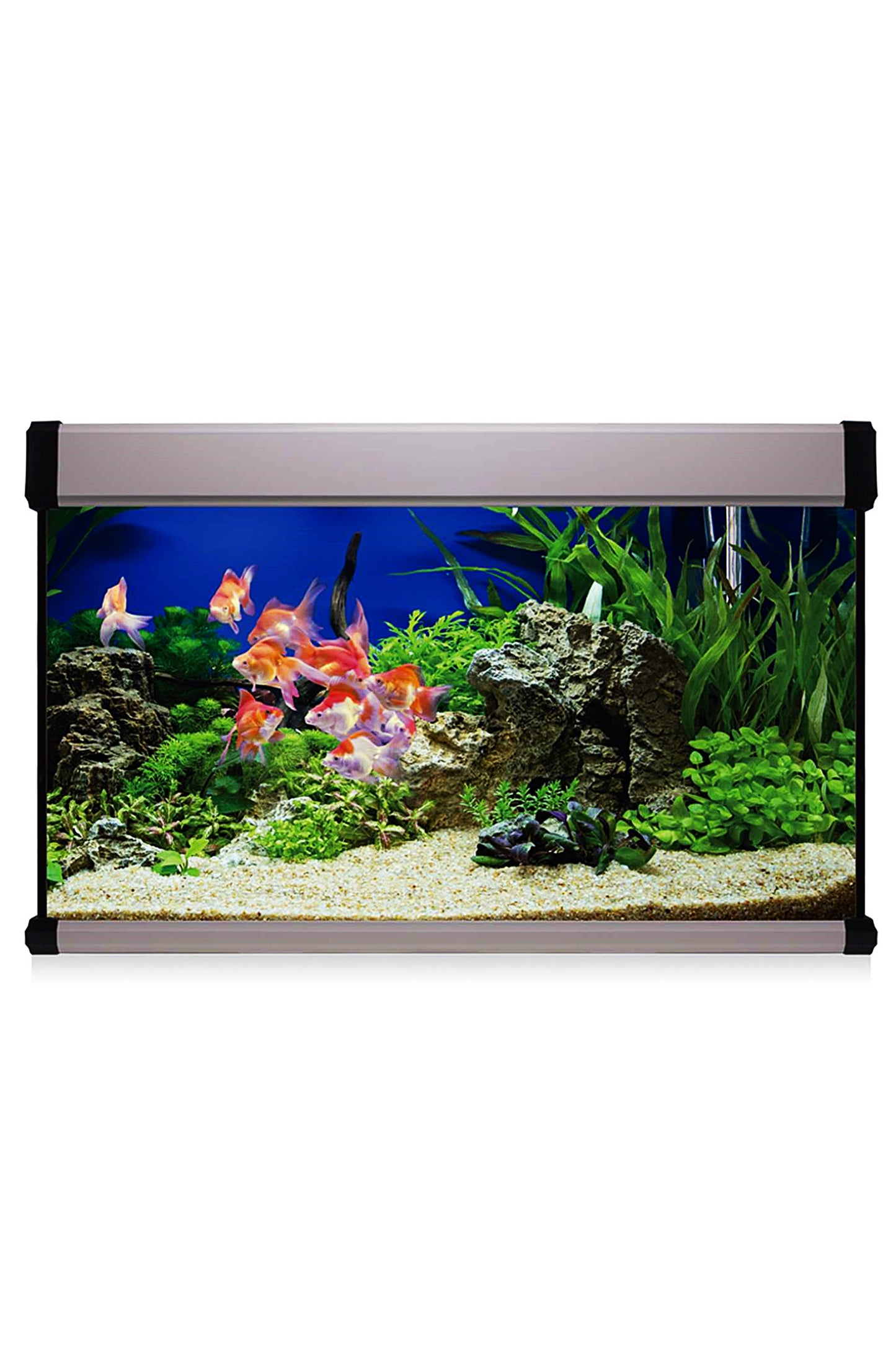Kit AquaLUX PRO 100 - Acuario de 100 litros Plateado