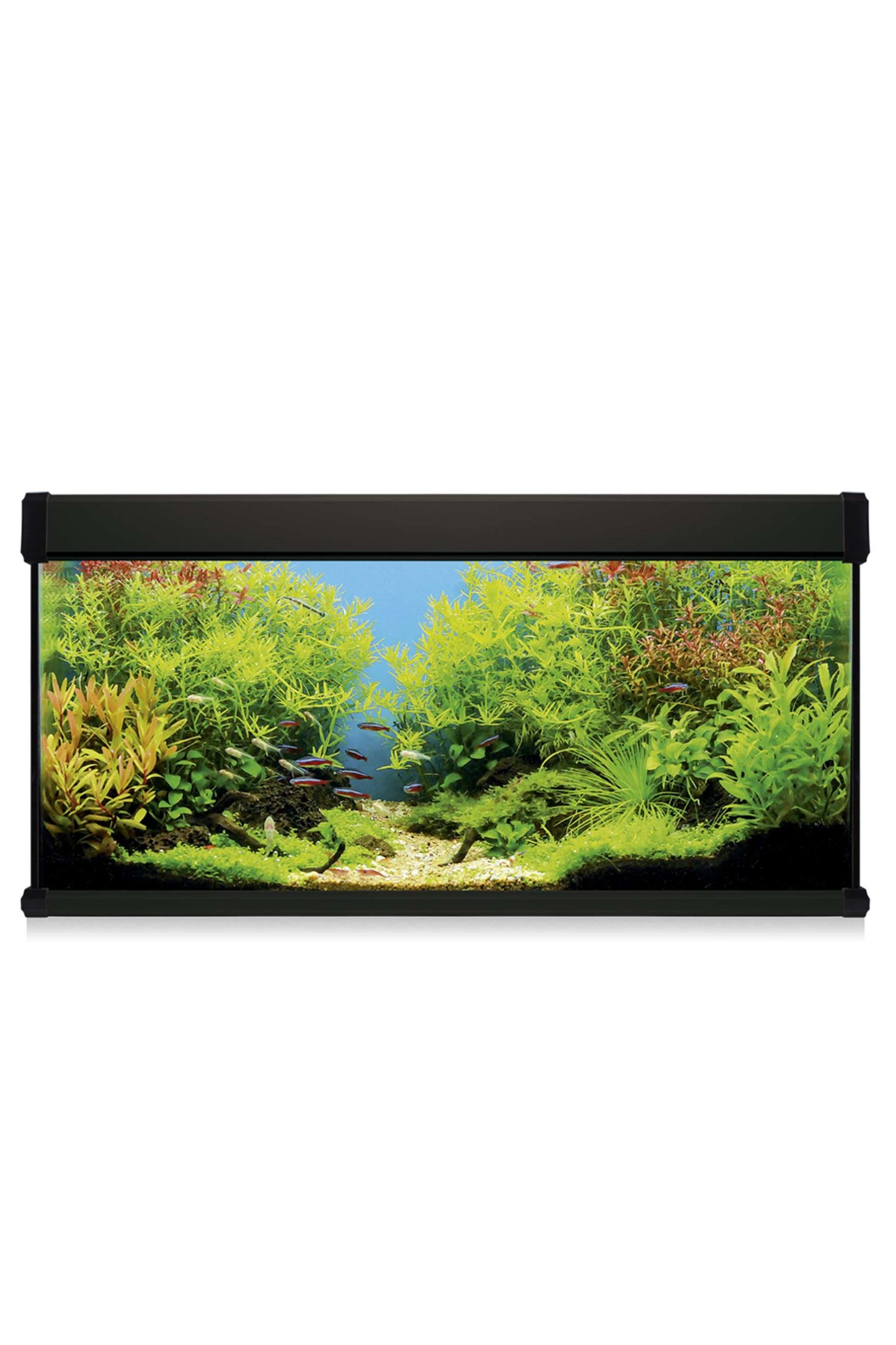Kit AquaLUX PRO 130 - Acuario de 130 litros Negro