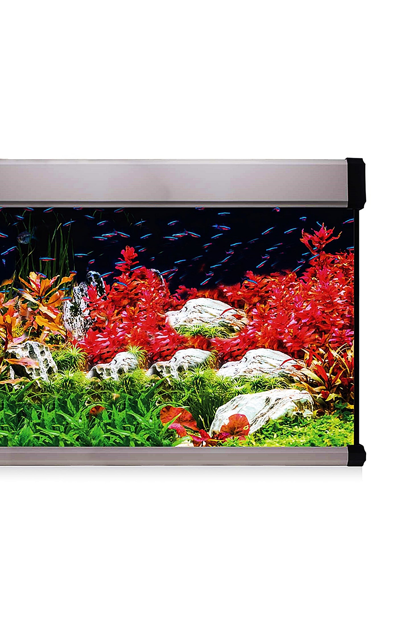 Kit AquaLUX PRO 130 - Acuario de 130 litros Plateado