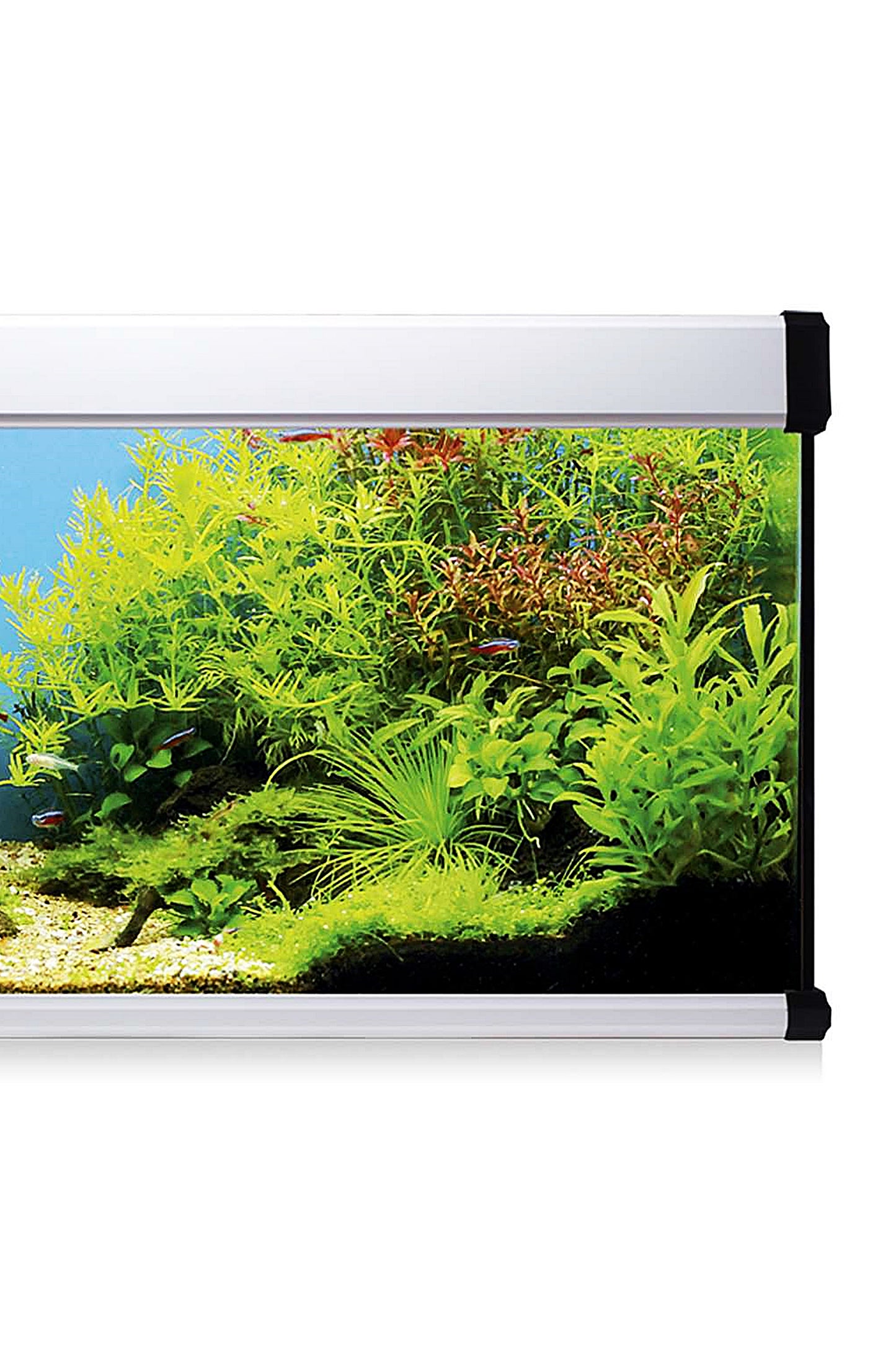 Kit AquaLUX PRO 168 - Acuario de 168 litros Blanco