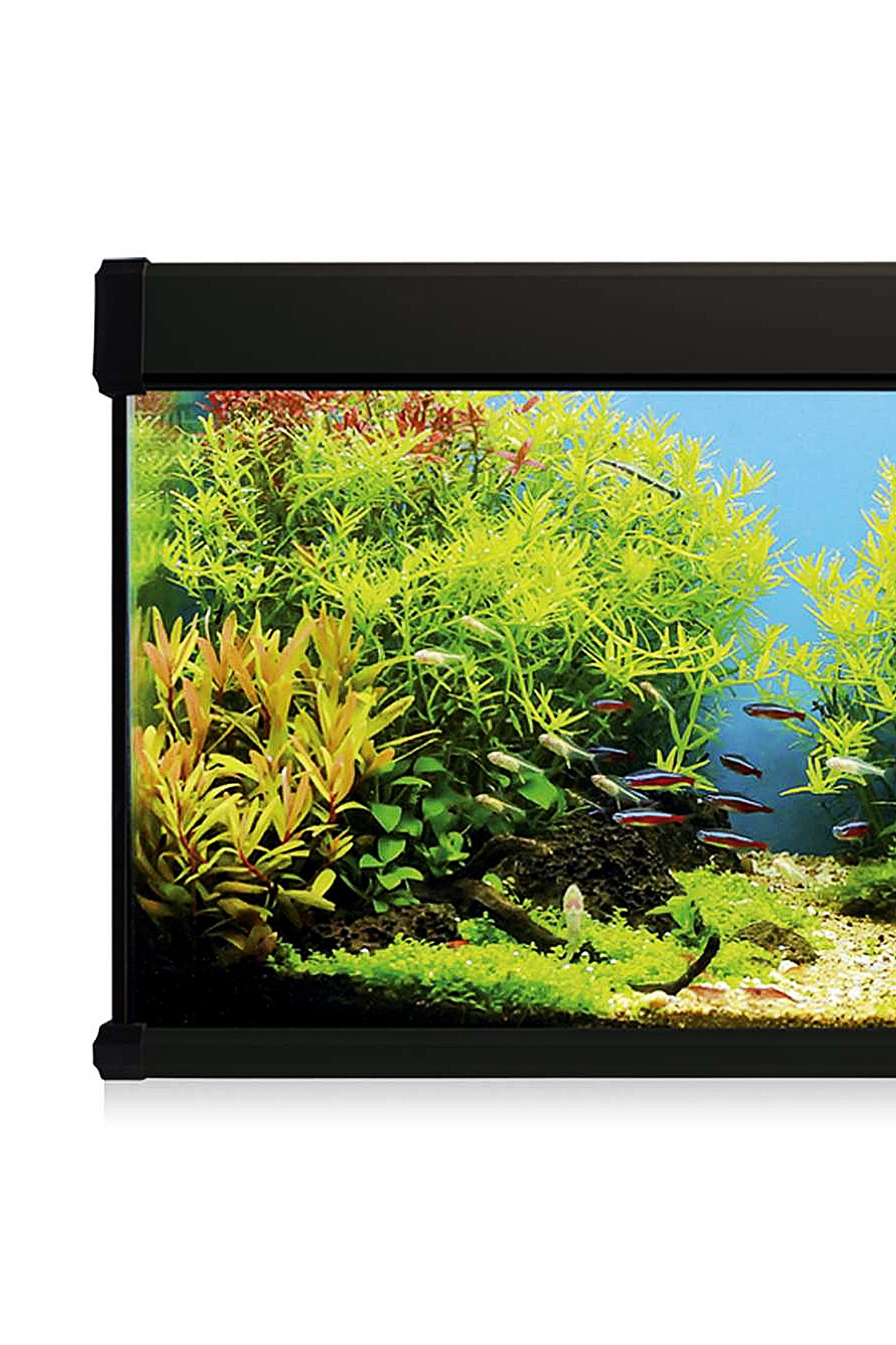 Kit AquaLUX PRO 168 - Acuario de 168 litros Negro