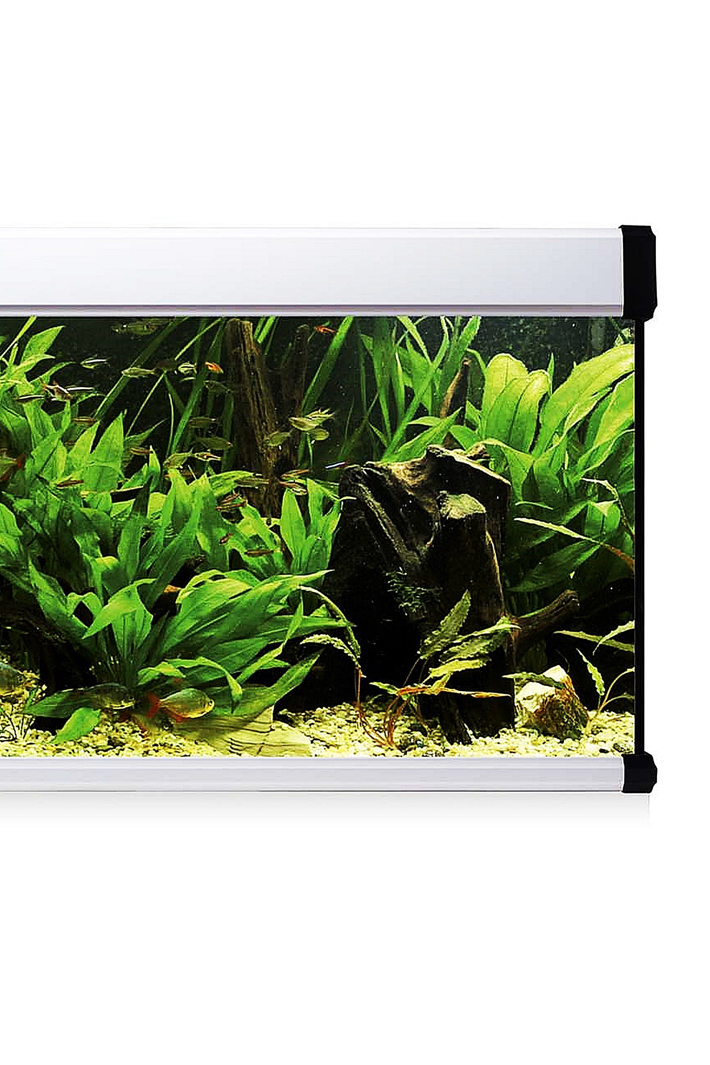 Kit AquaLUX PRO 240 - Acuario de 240 litros Blanco