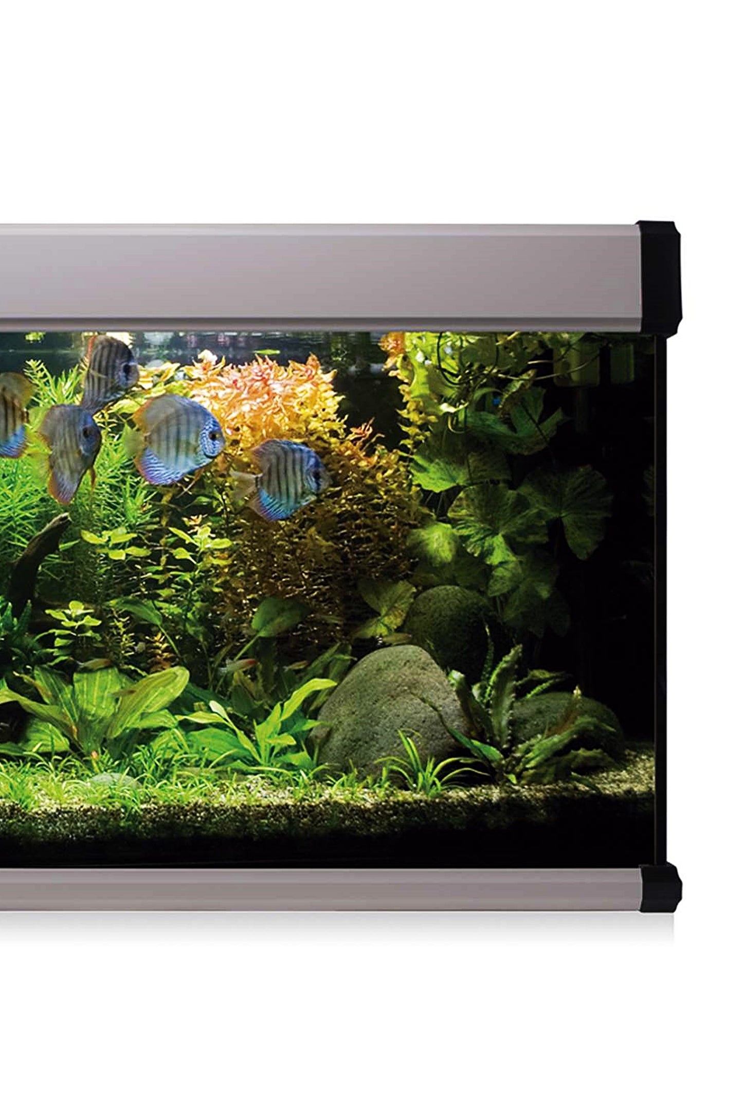 Kit AquaLUX PRO 240 - Acuario de 240 litros Plateado