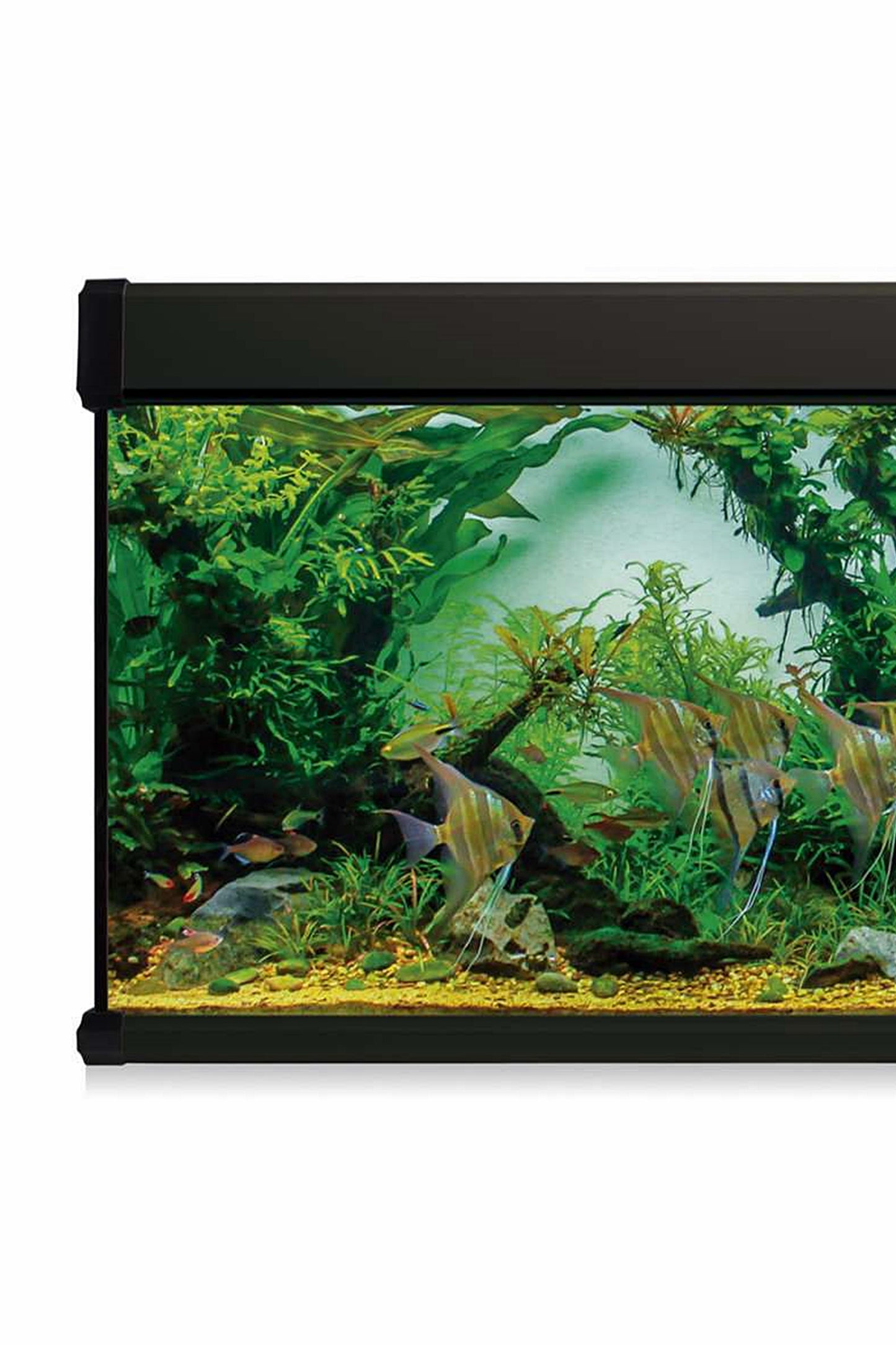 Kit AquaLUX PRO 450 - Acuario de 450 litros Negro