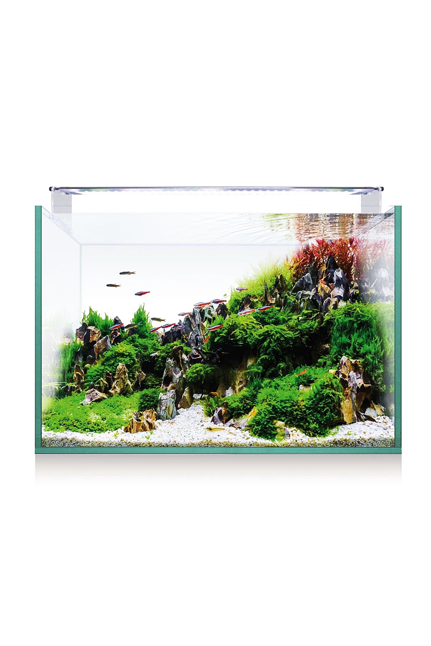 Acuario Kit AquaScape RGB 45 de 45 litros