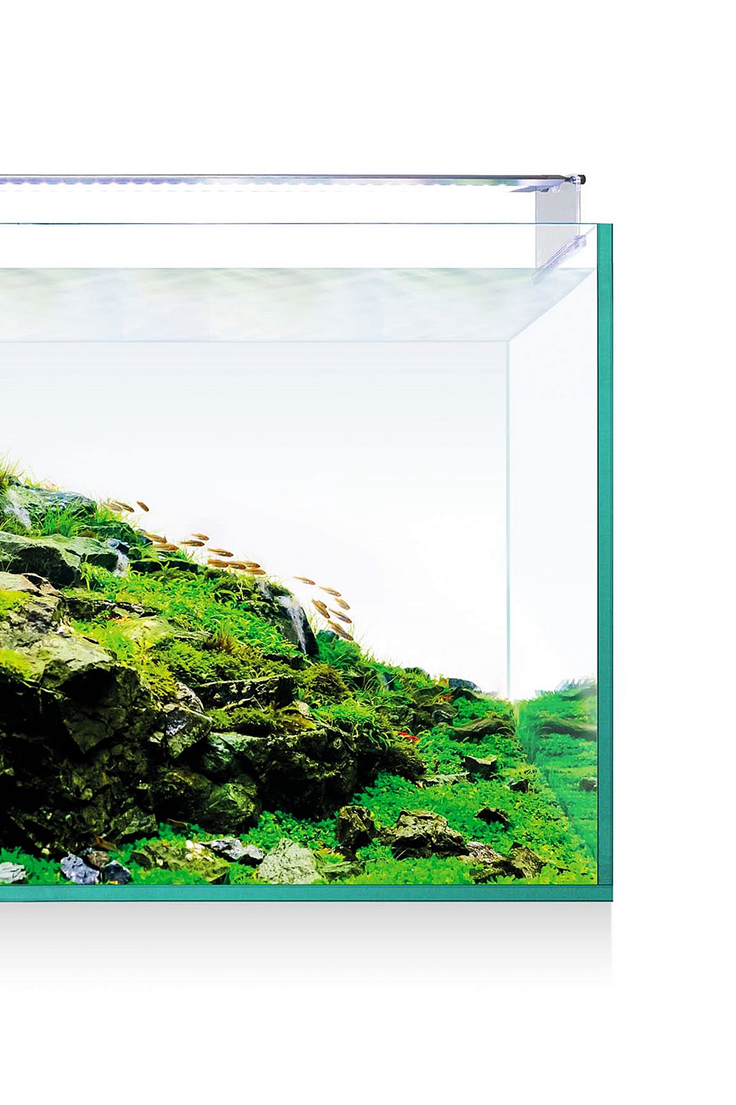 Acuario Kit AquaScape RGB PRO Extra Claro 200 de 182 litros