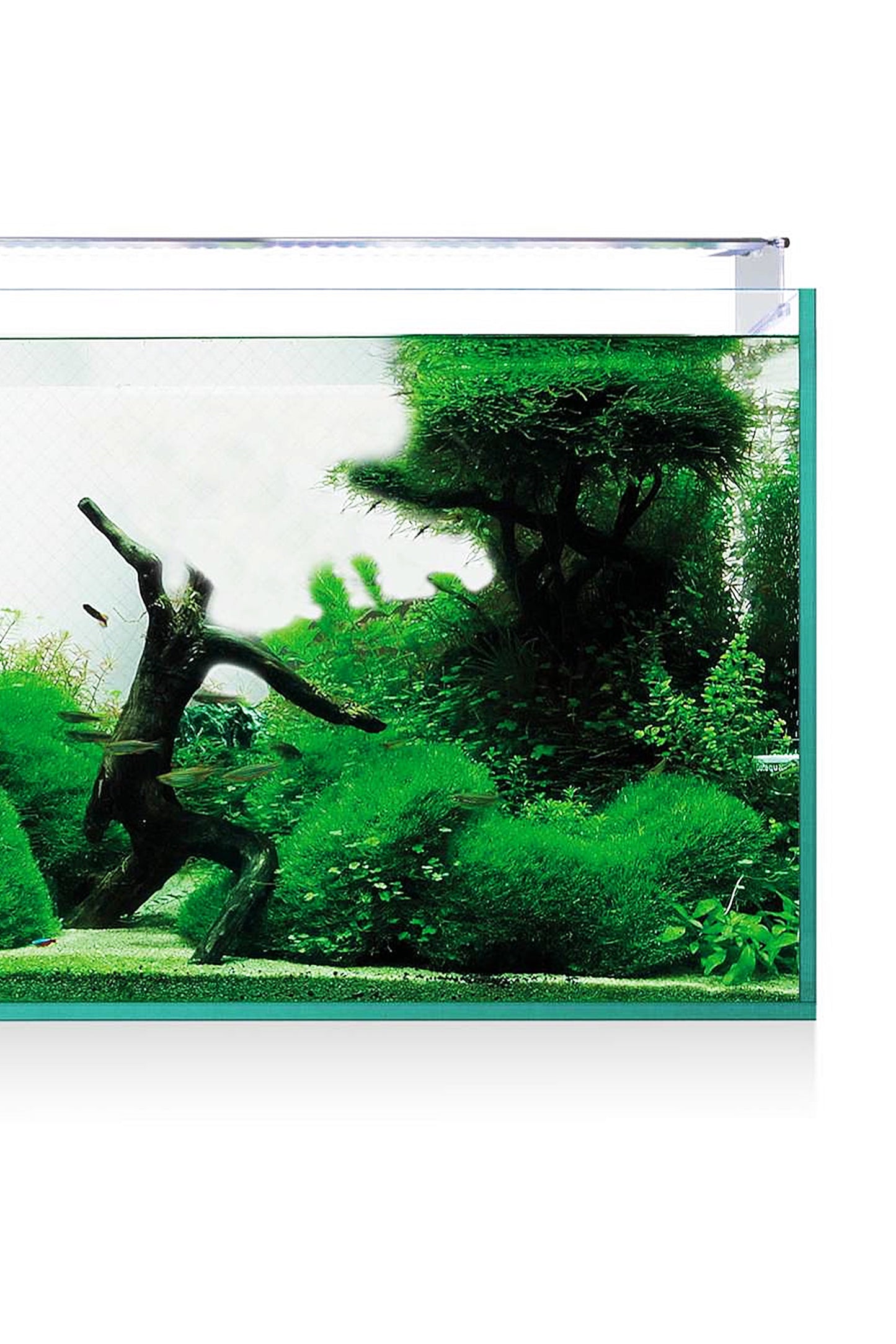 Acuario Kit AquaScape RGB PRO Extra Claro 330 de 300 litros