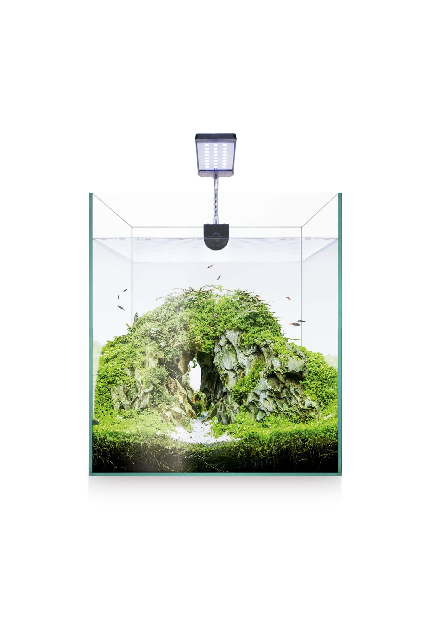 Acuario Kit Nano AquaScape RGB 20 de 20 litros