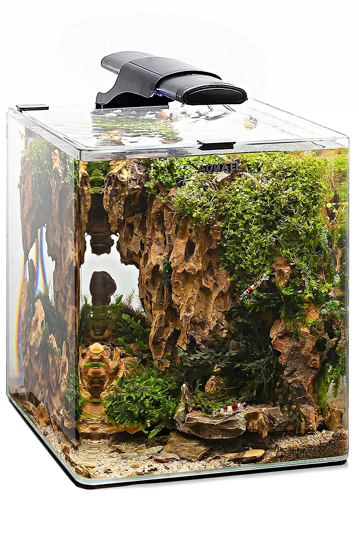 AQUAEL - LEDDY Slim Duo Sunny Plant & Night 10W (Negra)
