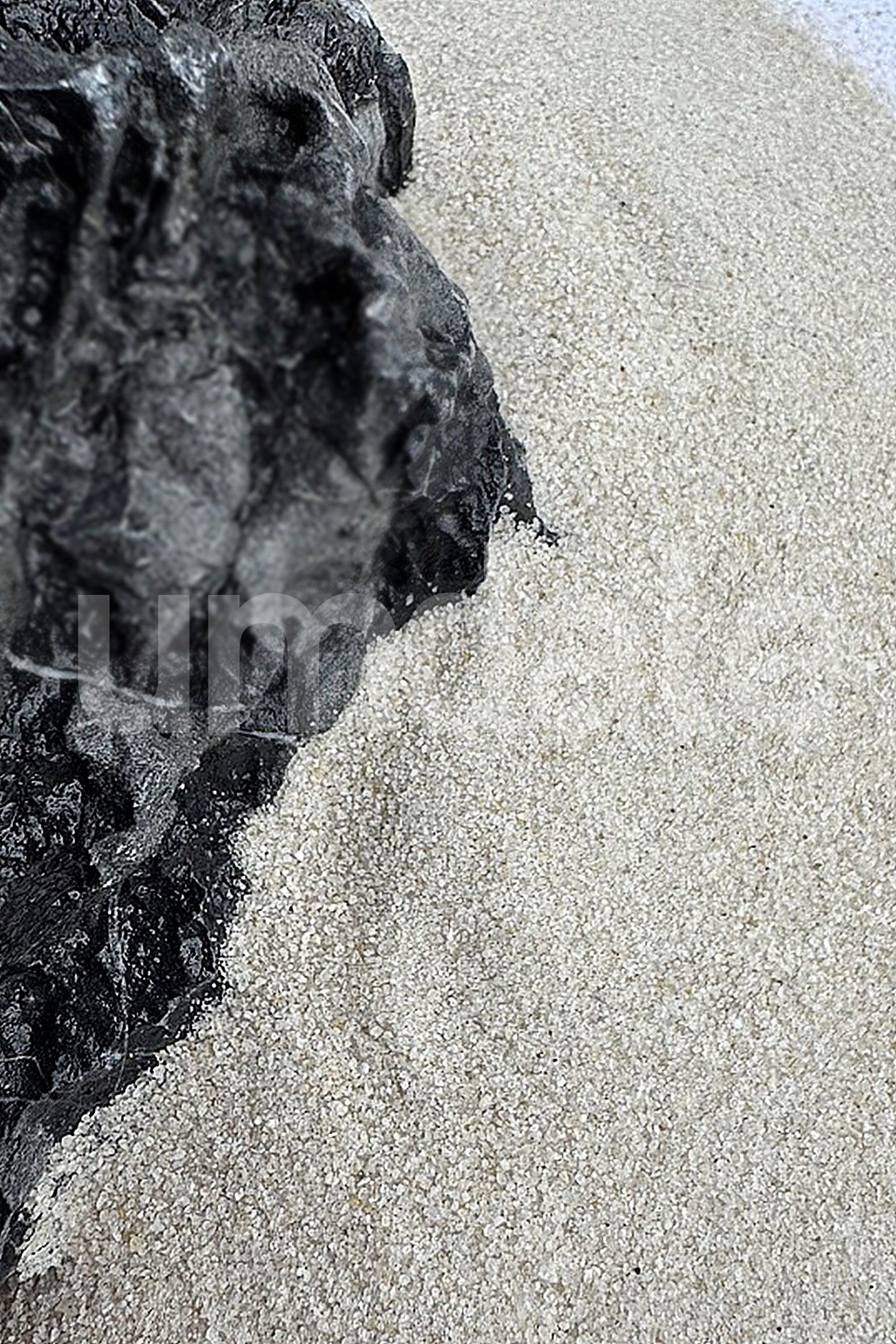 AQUAEL - Quartz Sand 0,1/0,3 mm. - 2 kg.