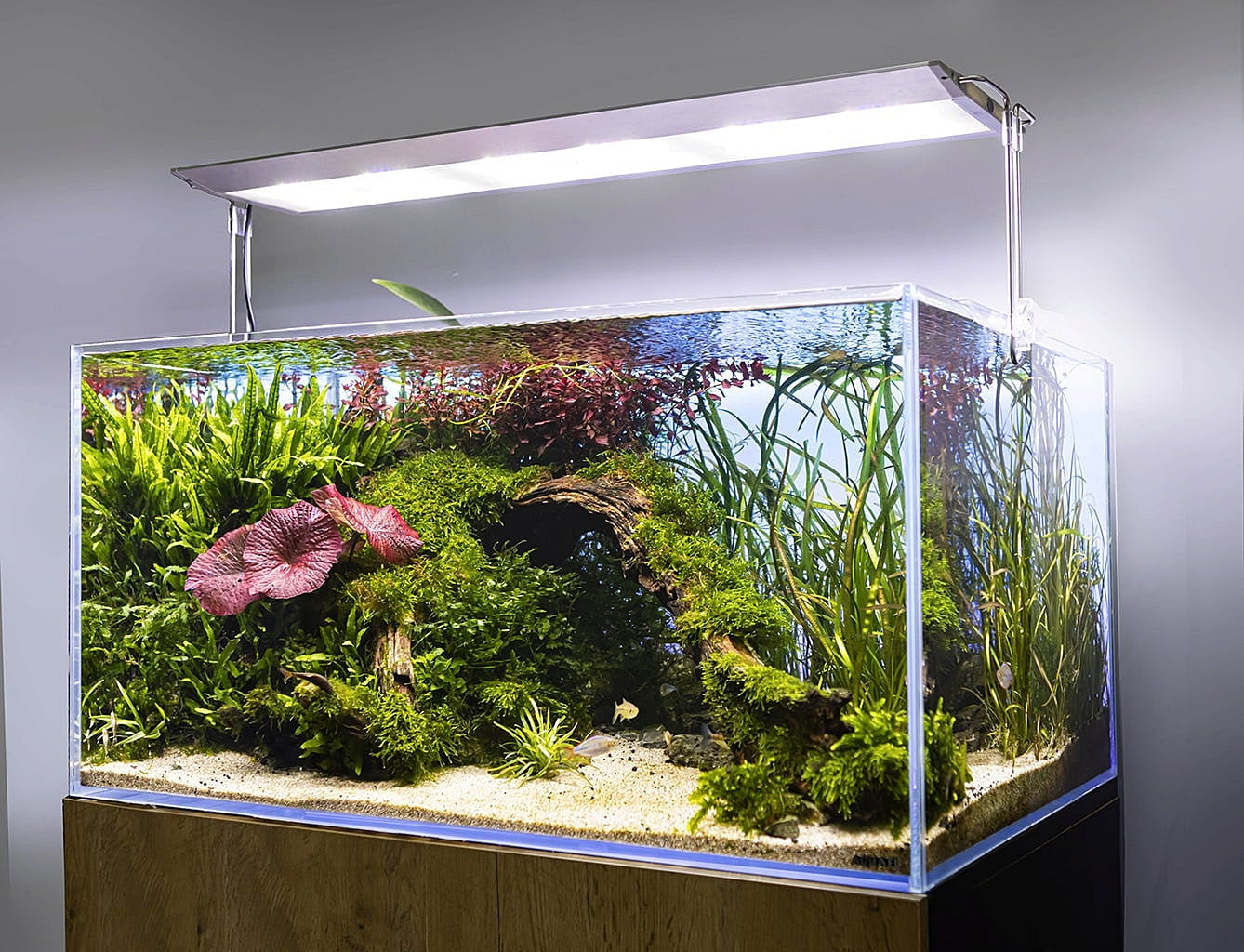 AQUAEL - Ultra Slim - Pantalla de 60 cm