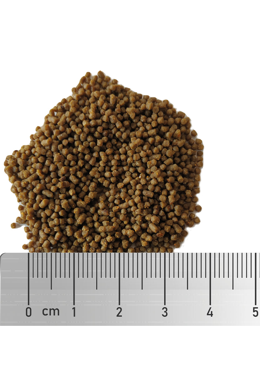 Fauna Marin - Soft Protect M 65 gr.