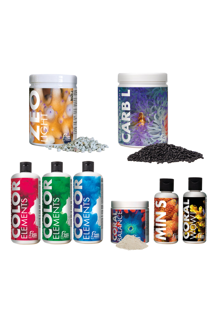 Fauna Marin - ZEO Light Set - Kit de inicio