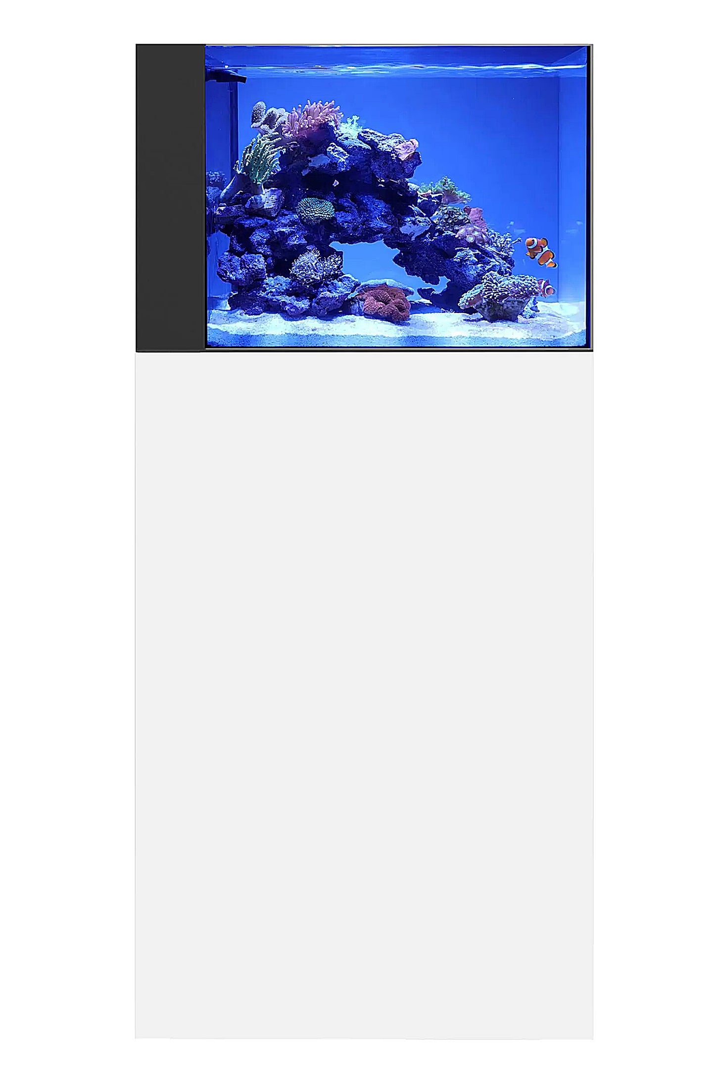 WATERBOX - Nuevo Acuario AIO 25 PENINSULA con mueble Blanco de 90 litros