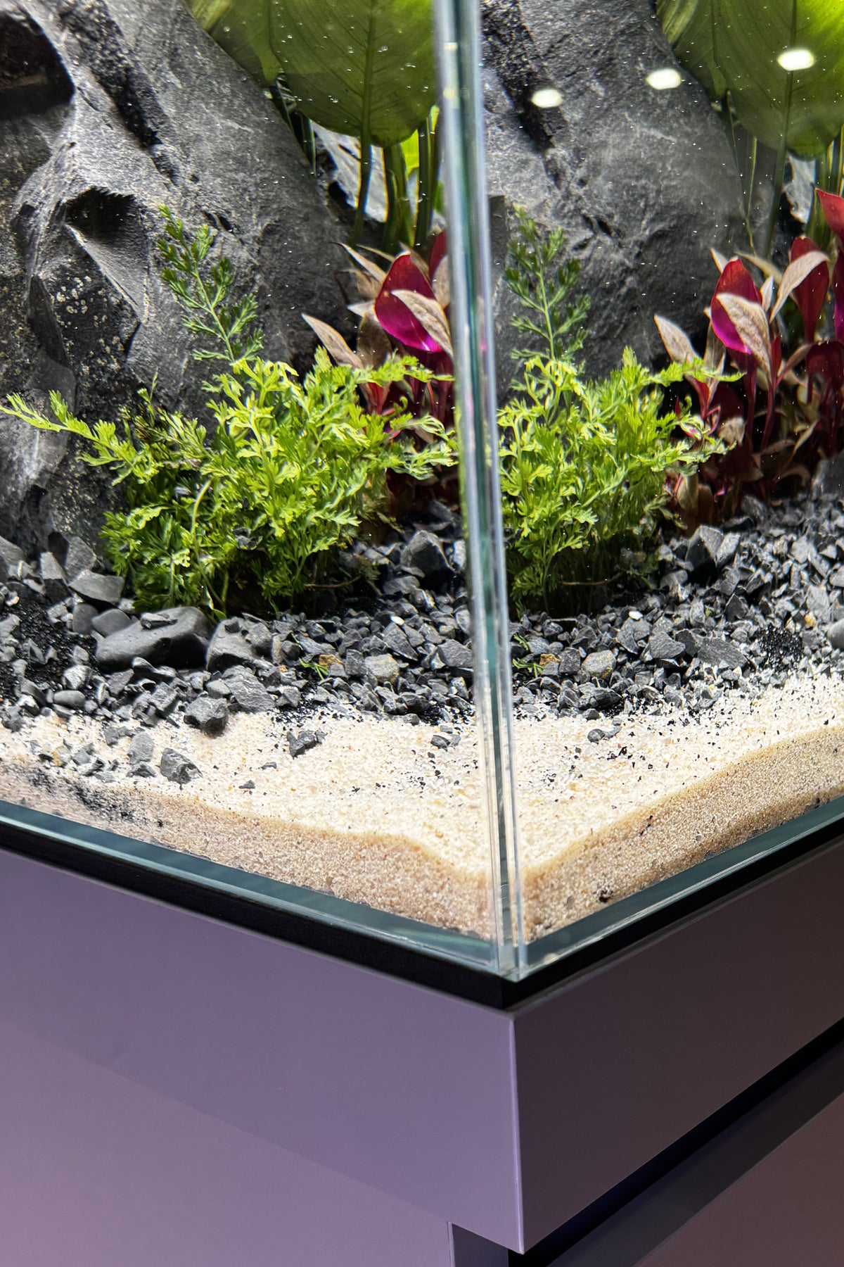 Nuevo Acuario Fluval Visi-White 90 de 200 litros con mueble Dusty Grey