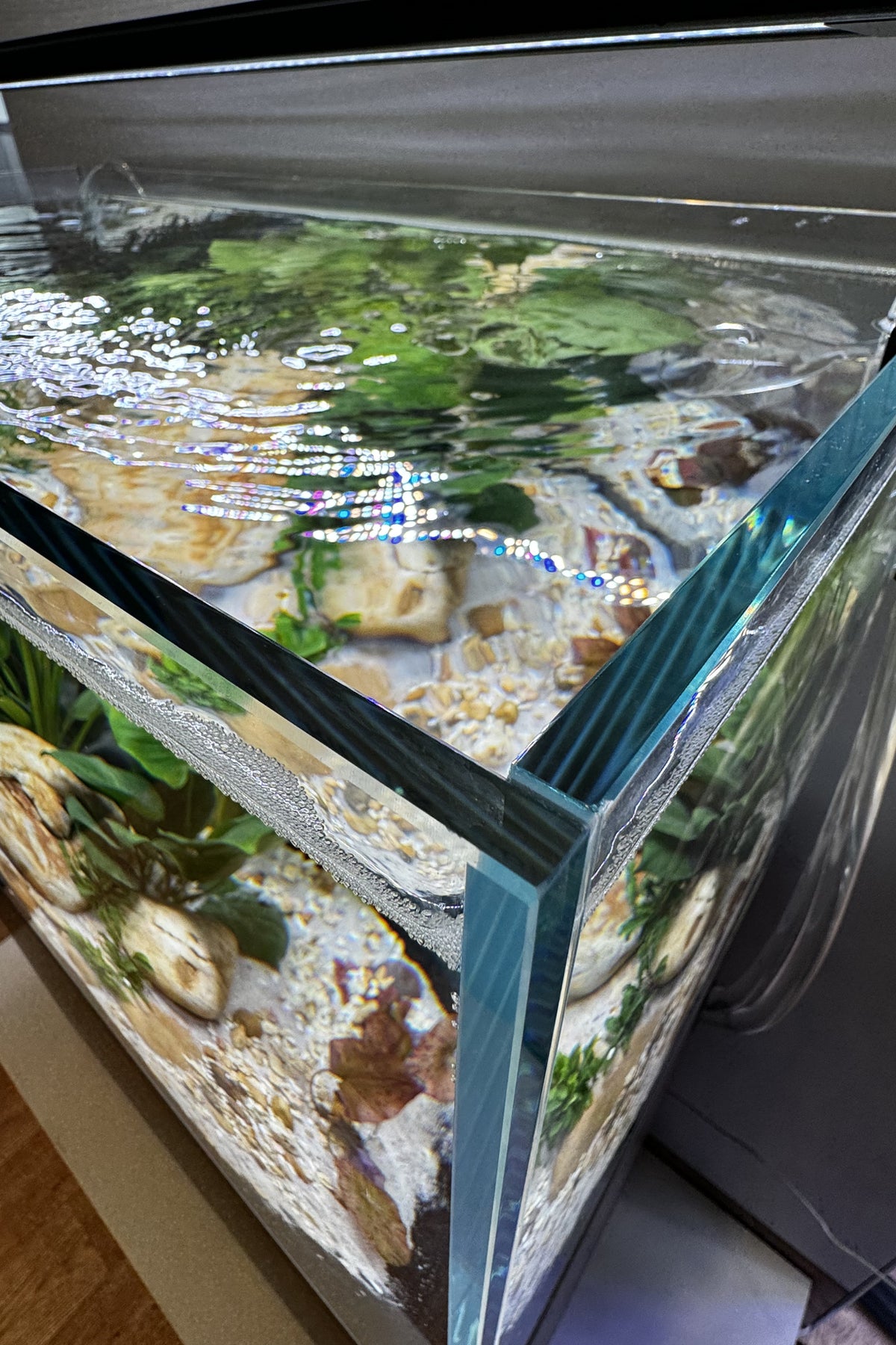 Nuevo acuario Fluval VISI-WHITE 45P de 40 litros - Urna de cristal óptico