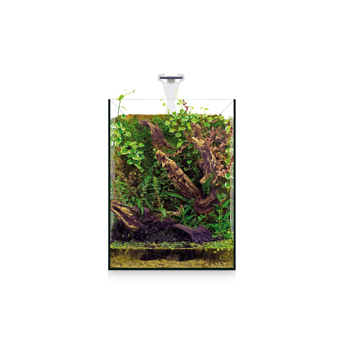 Kit NANO Nature de 4 litros
