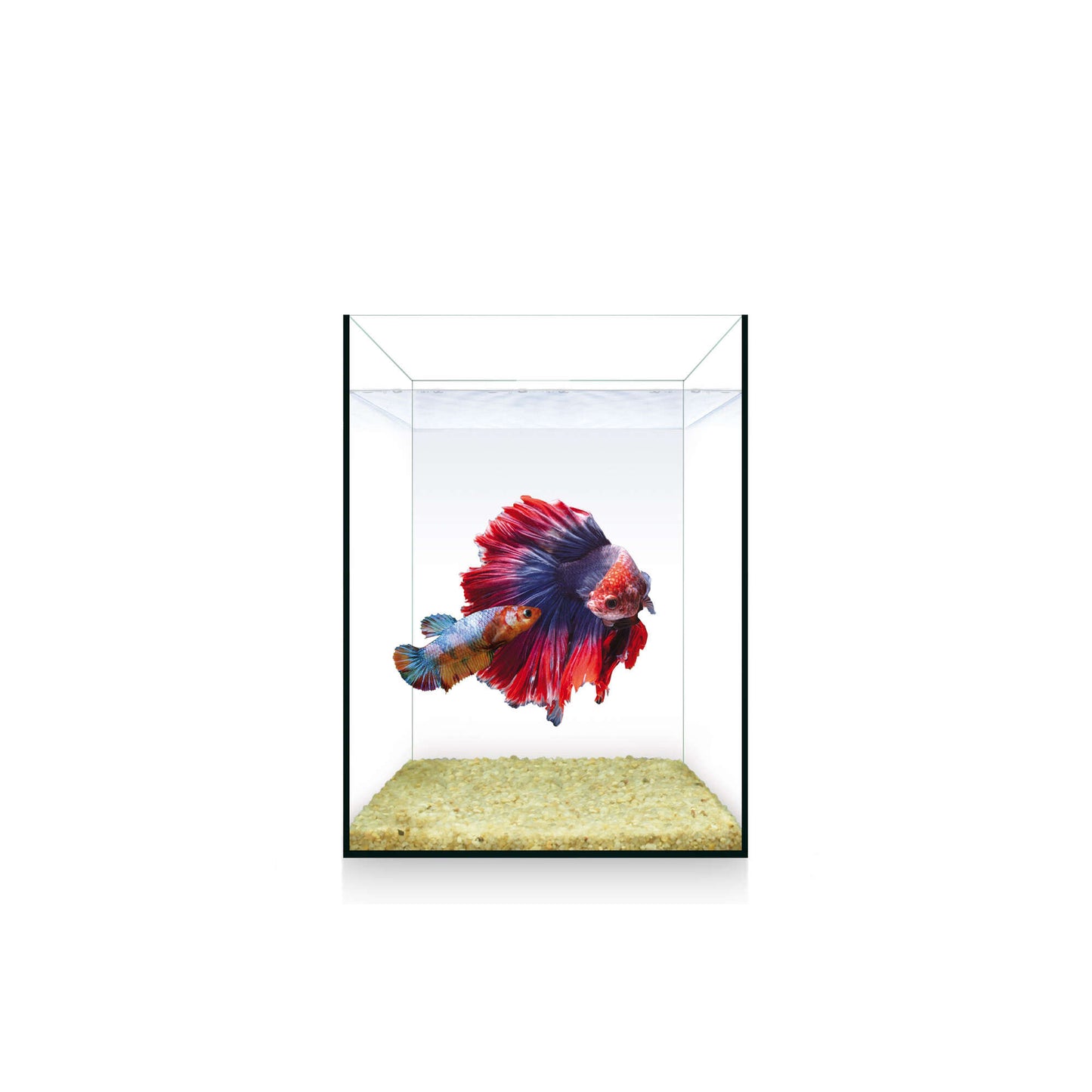 Urna NANO Nature de 4 litros