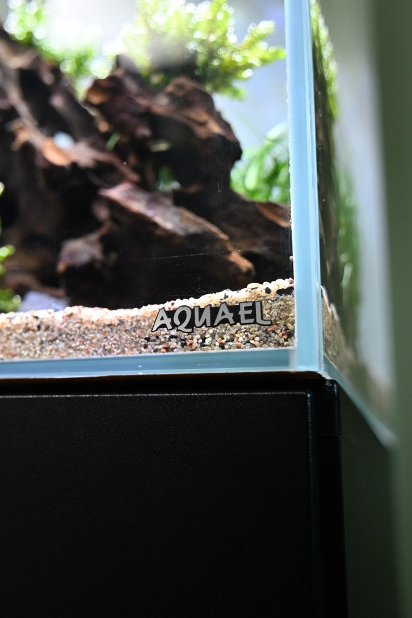 Opti Tank Scape 90 - Urna de cristal óptico de 243 litros