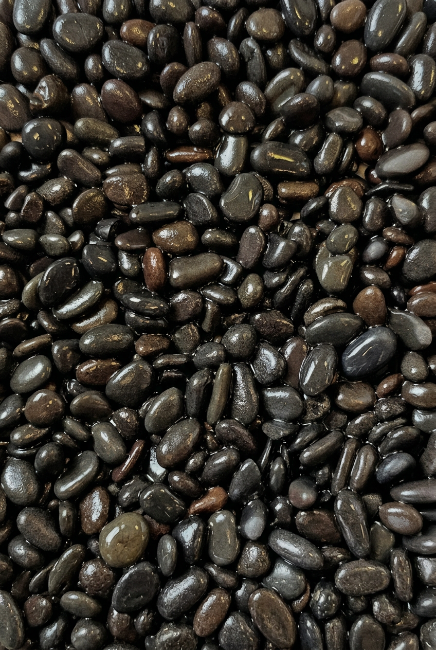 80787 DGN BLACK PEBBLES MINI, 10KG