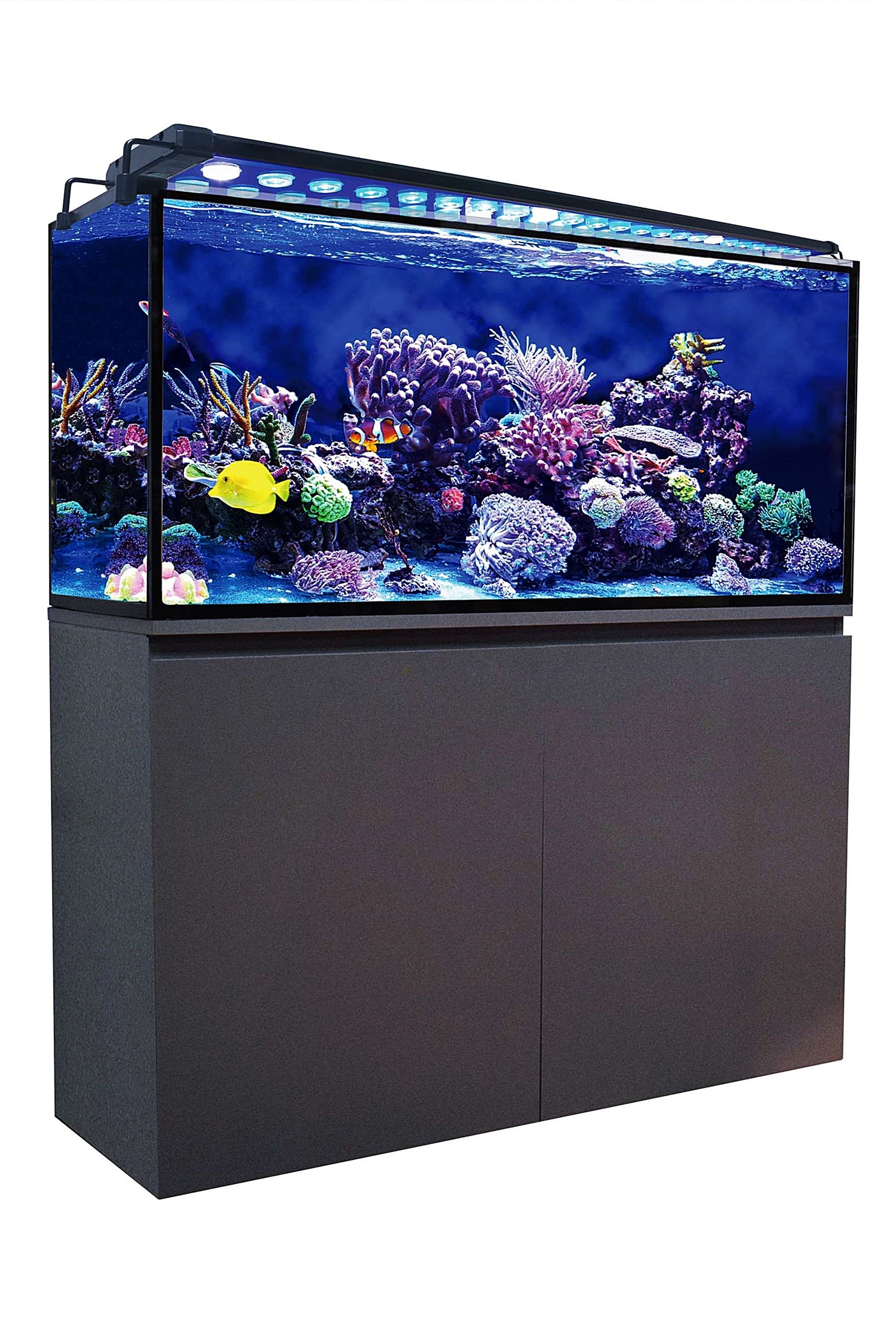 AquaOcean