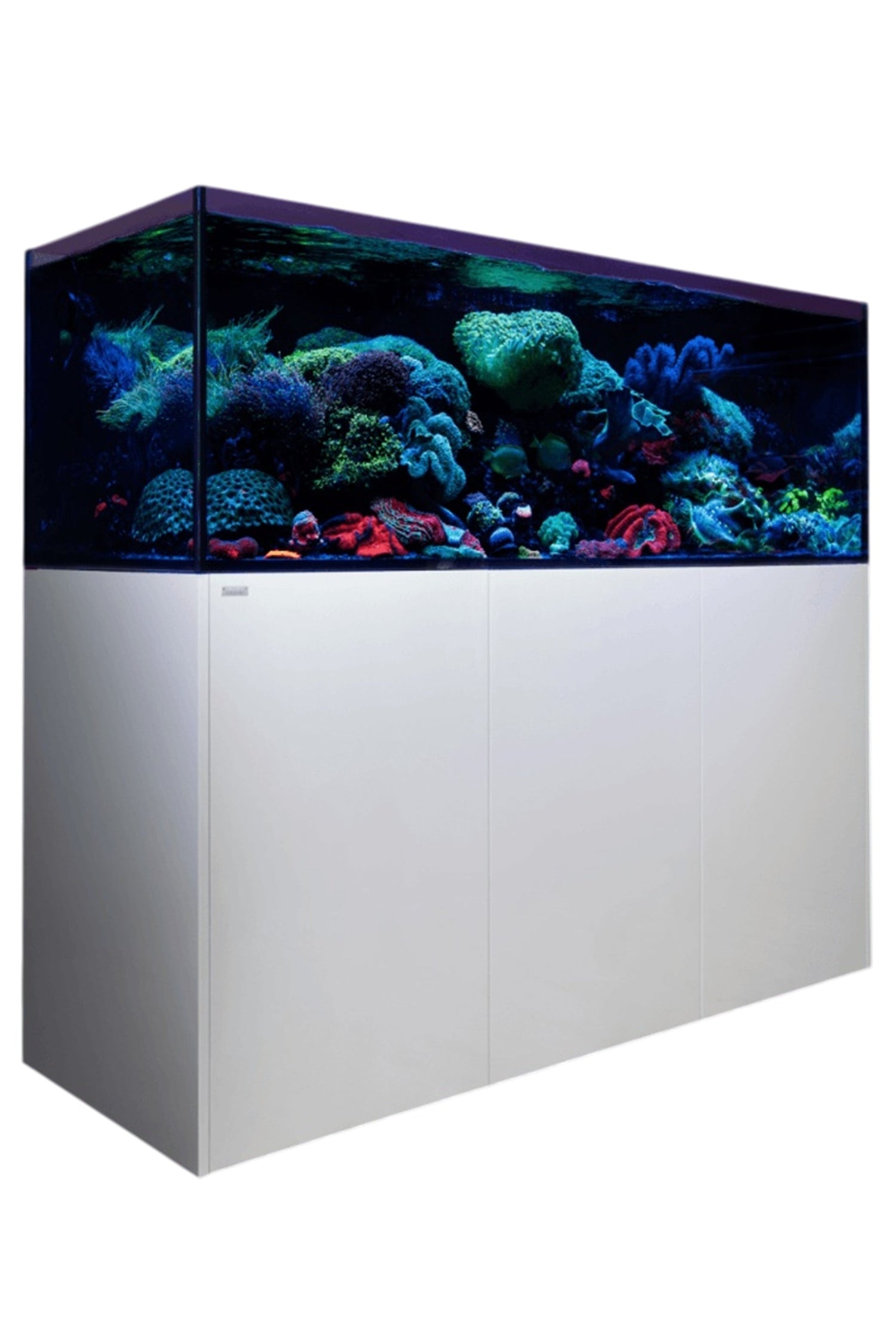 Marinos con mueble