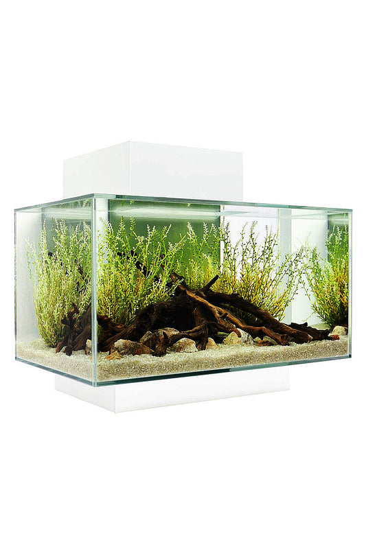 Fluval EDGE LED 2.0 Nano Acuario Blanco de 23 litros