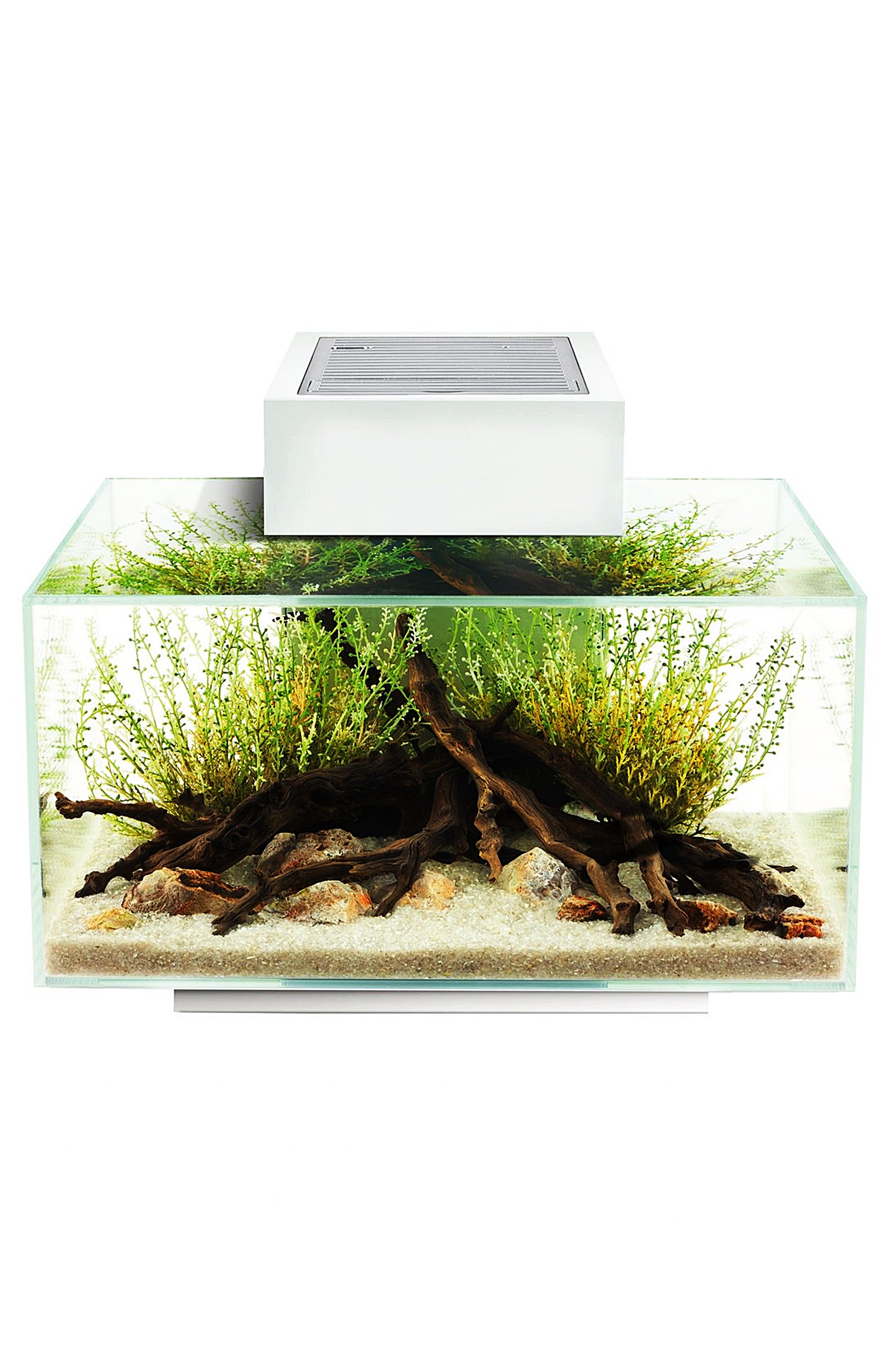 Fluval EDGE LED 2.0 Nano Acuario Blanco de 23 litros