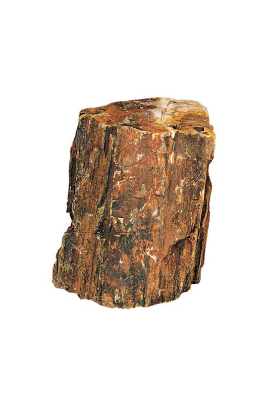 Hobby Dupla - 40687 Petrified Wood M, 1,0-2,2 kg Aprox/Piez