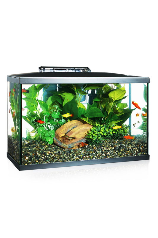 Acuario Marina LED KIT 10G de 38 litros