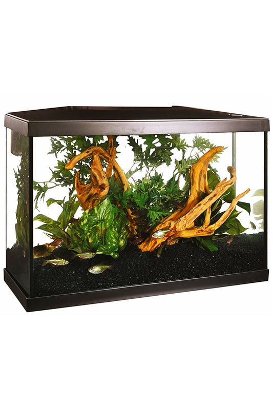 Acuario Marina LED KIT 20G de 75 litros