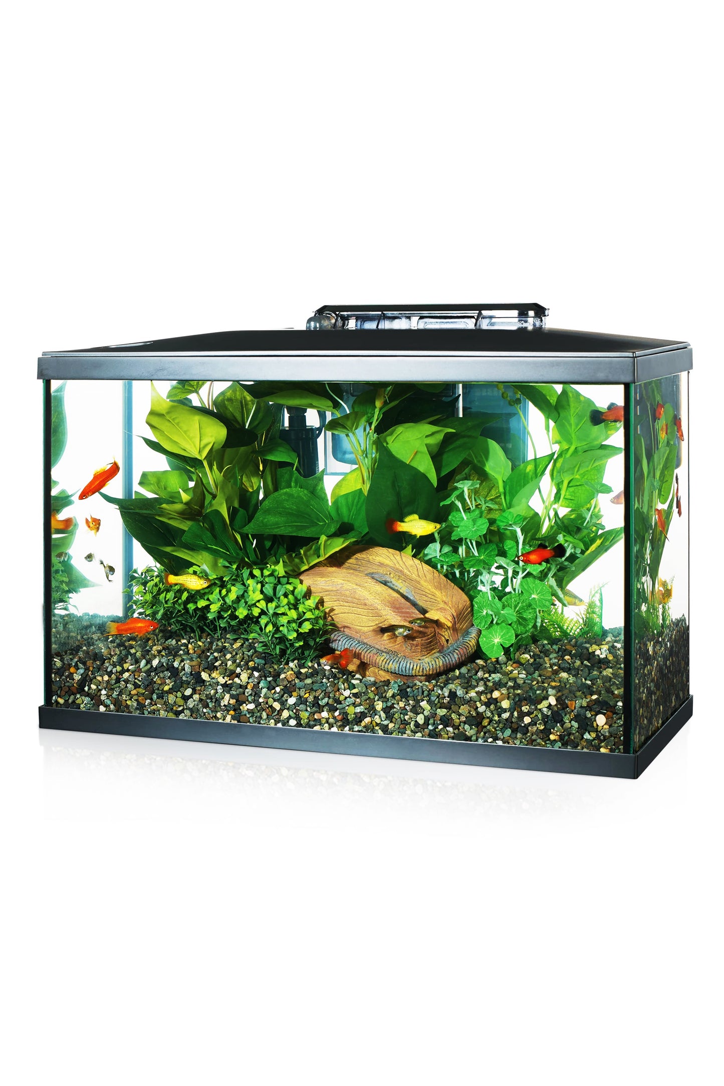 Acuario Marina LED KIT 5G de 20 litros