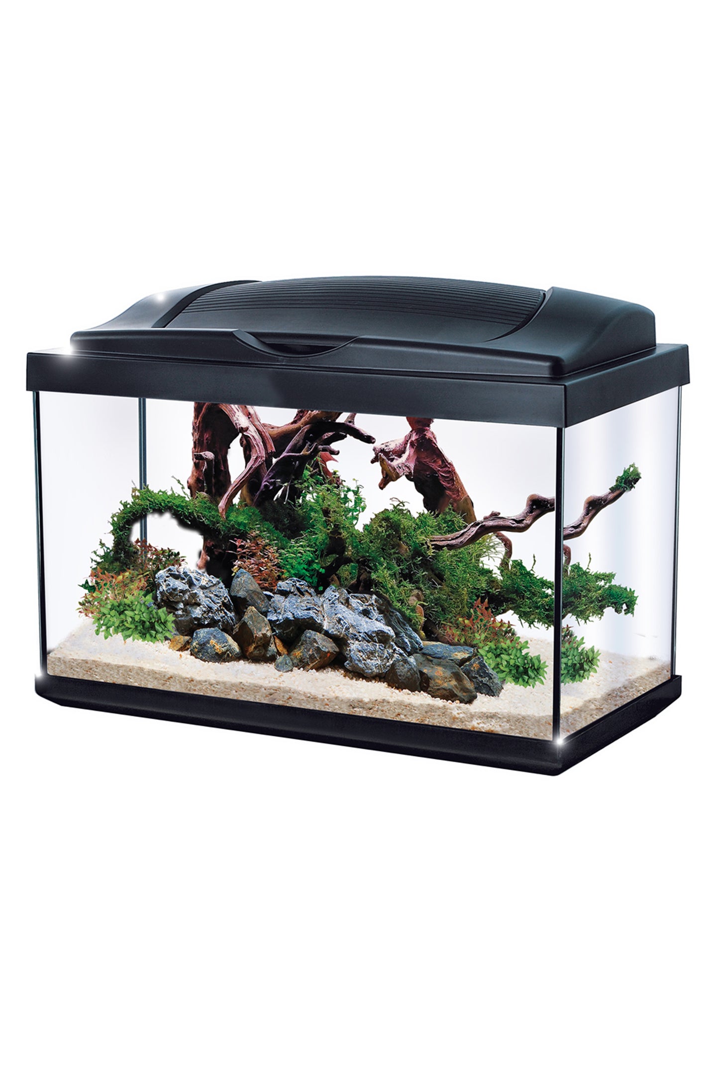 NEWA - Acuario Hobby 30 litros