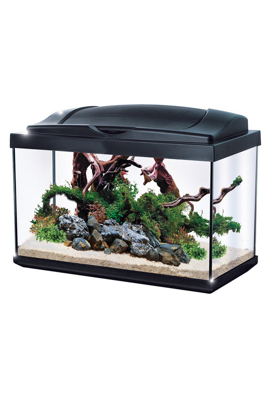 NEWA - Acuario Hobby 30 litros