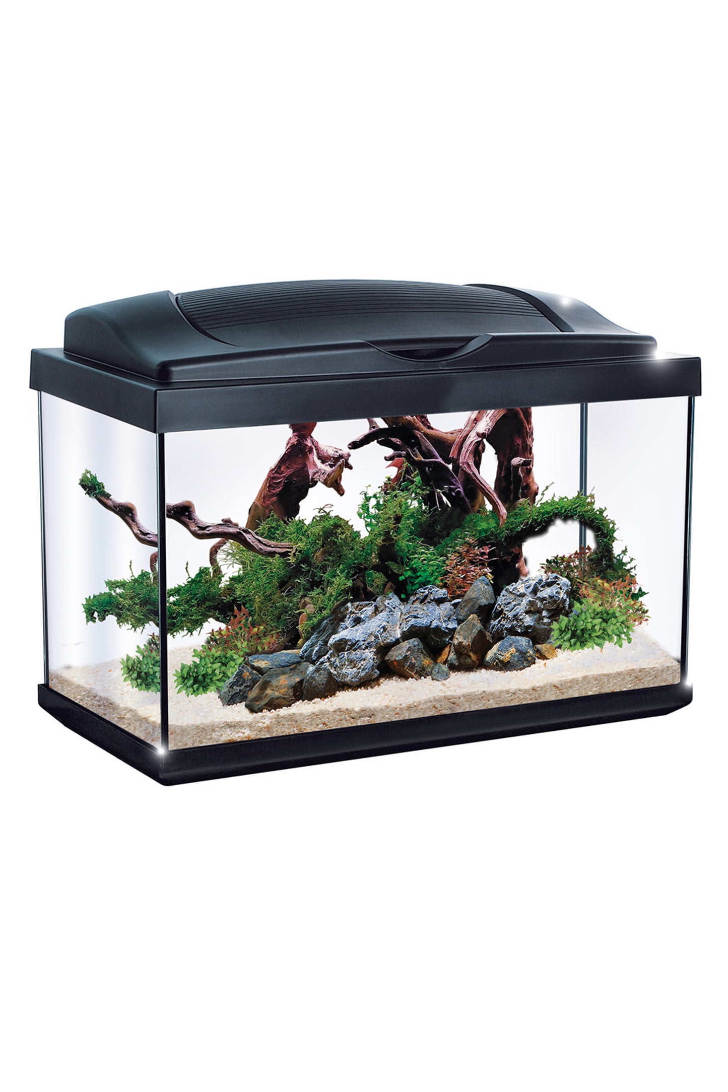 NEWA - Acuario Hobby 60 litros