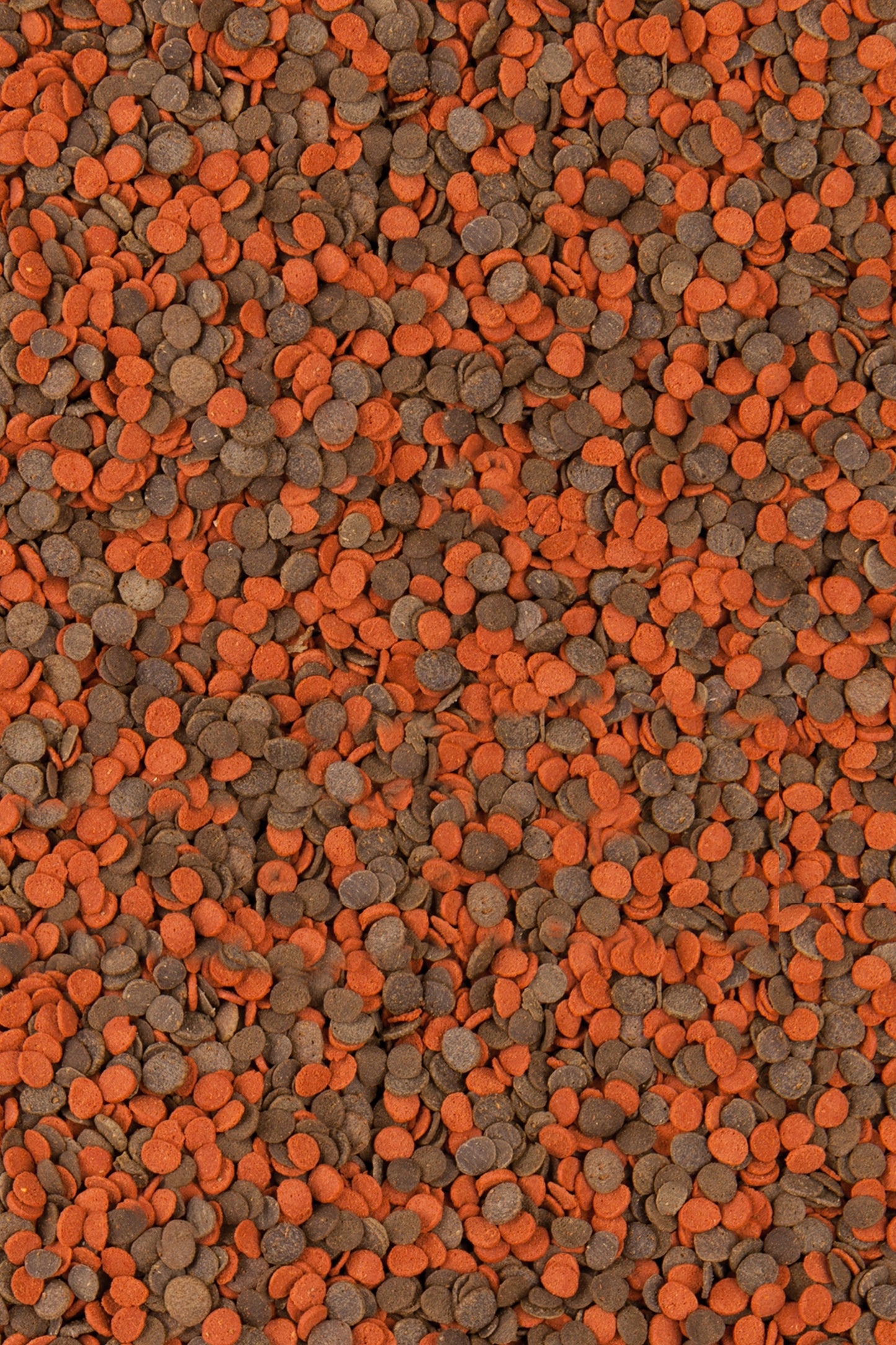 Tropical - Ciclhid Chips 5,5 mm. 5 L / 2,6 kg