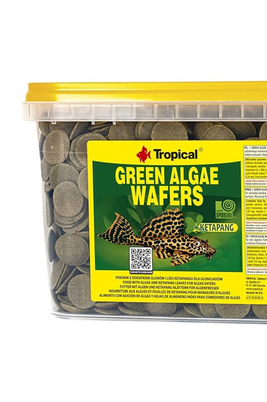 Tropical - Galletas Spirulina 5 L