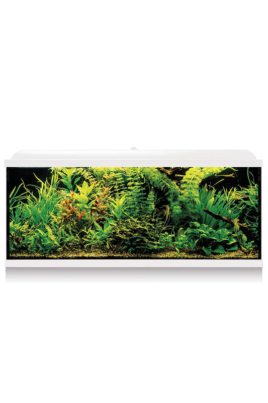 AquaLED PRO 240 - Acuario de 240 litros en Blanco