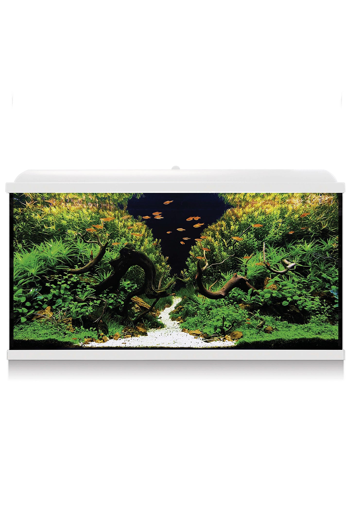 AquaLED PRO 300 - Acuario de 300 litros en Blanco