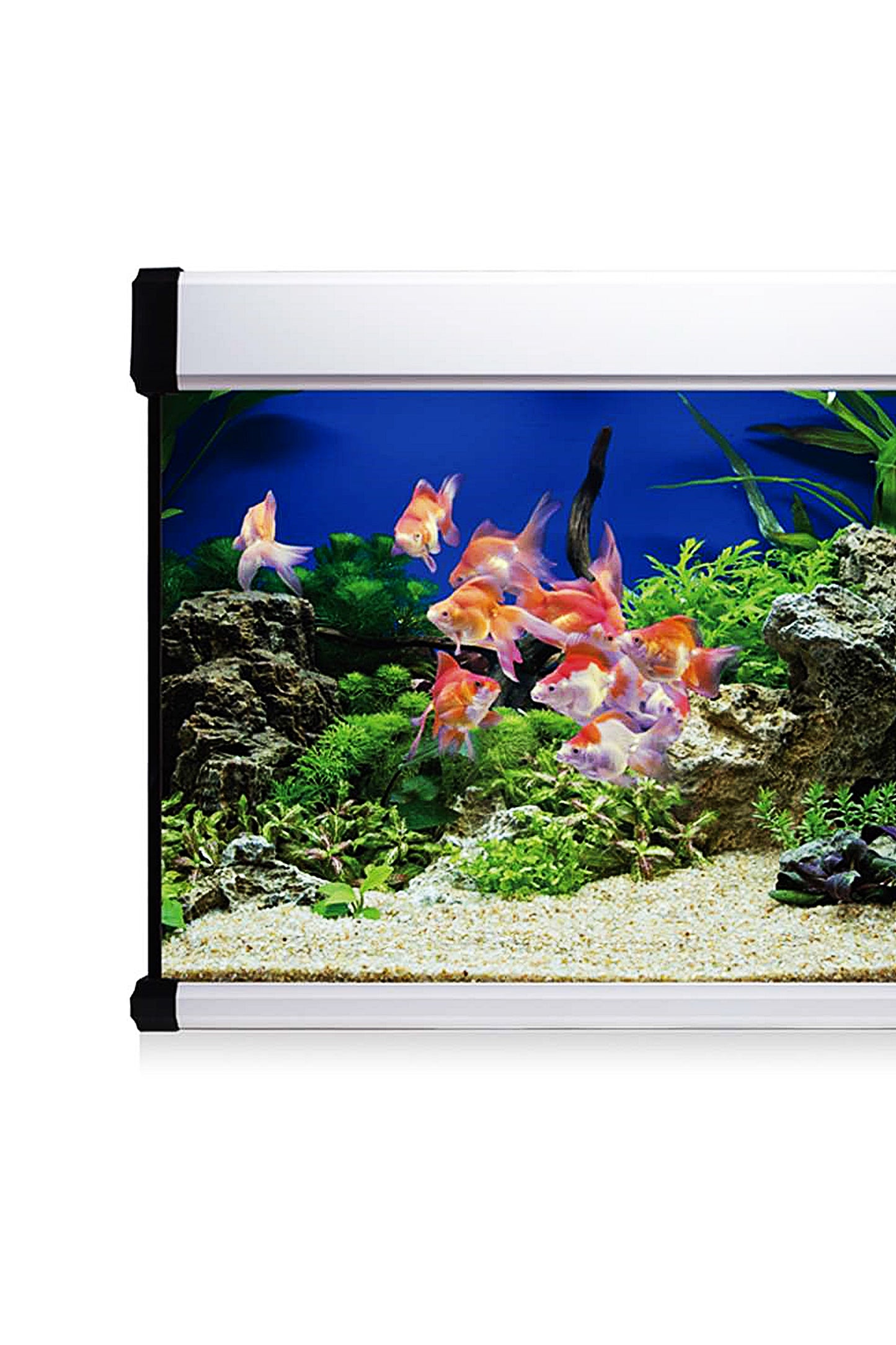 Kit AquaLUX PRO 100 - Acuario de 100 litros Blanco