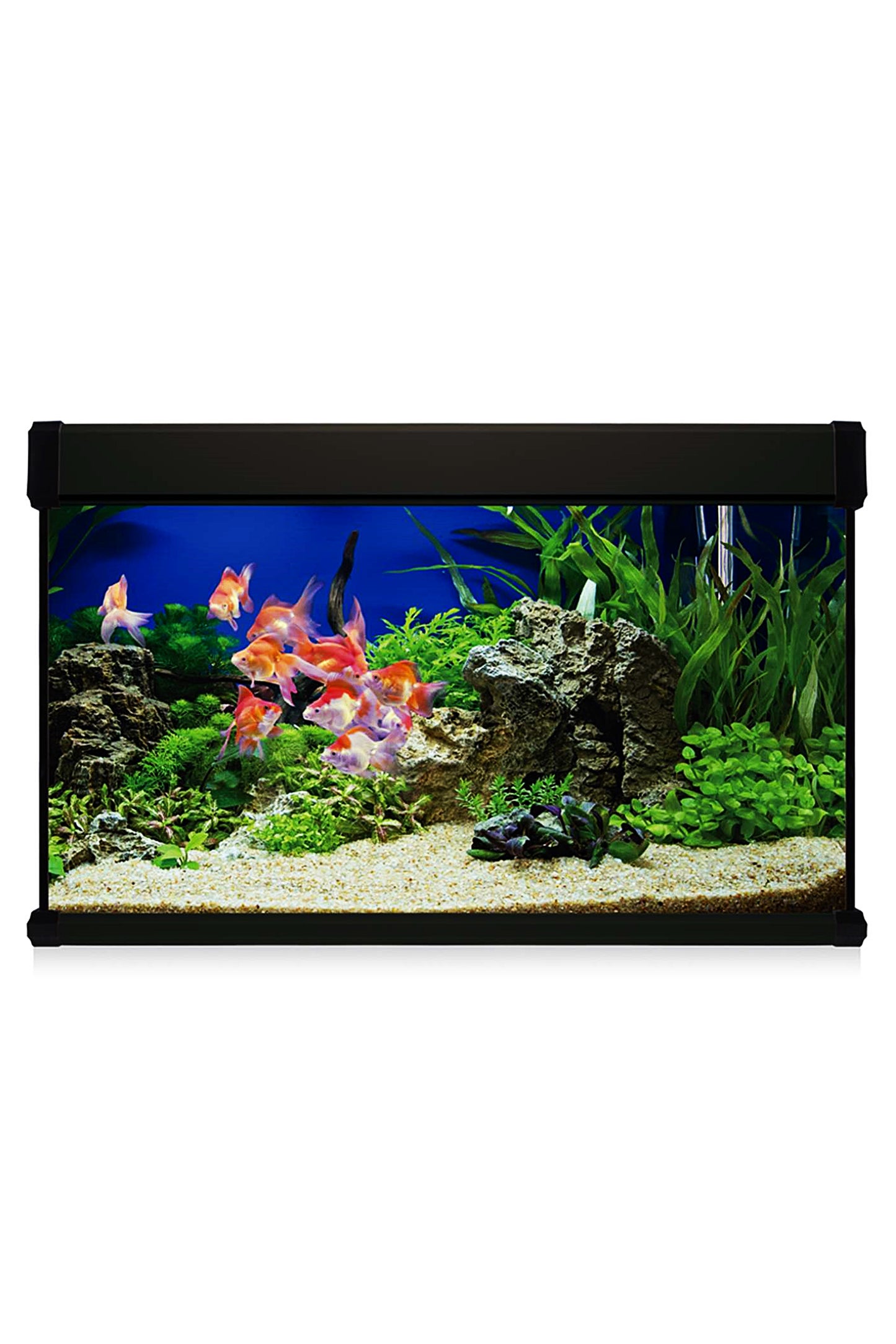 Kit AquaLUX PRO 100 - Acuario de 100 litros Negro