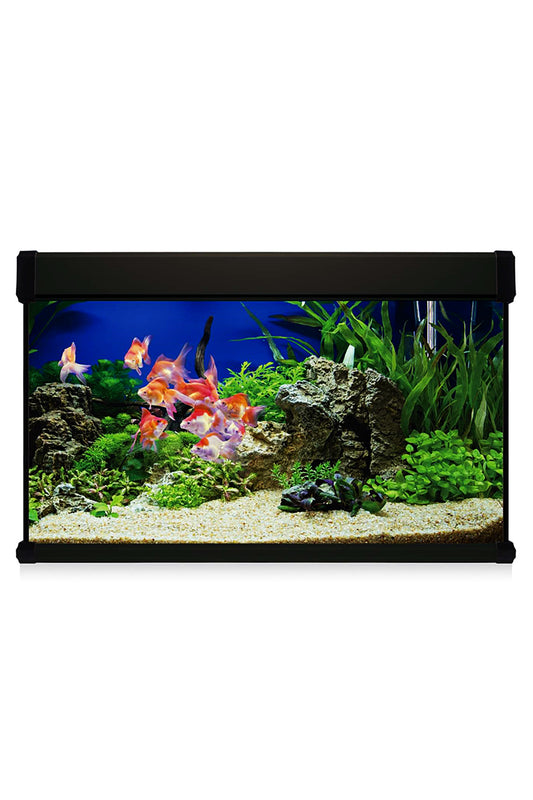 Kit AquaLUX PRO 100 - Acuario de 100 litros Negro